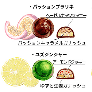 ルーツとチョコレート箱詰め