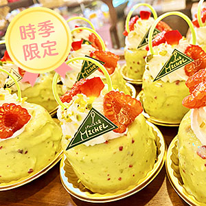 ハニーピスターシュ